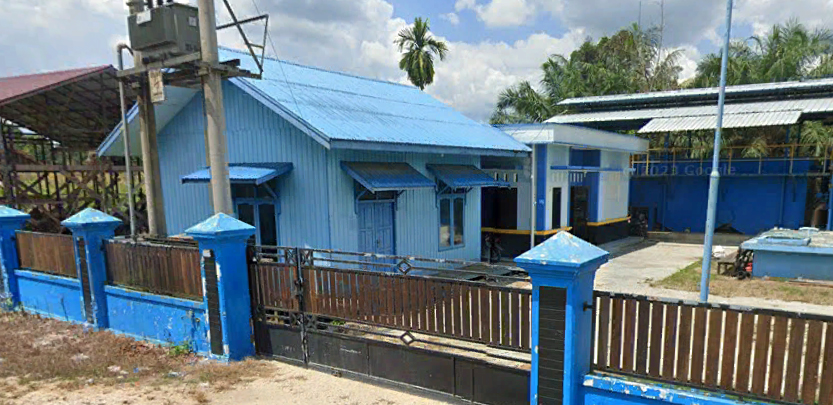 data umum kembang janggut